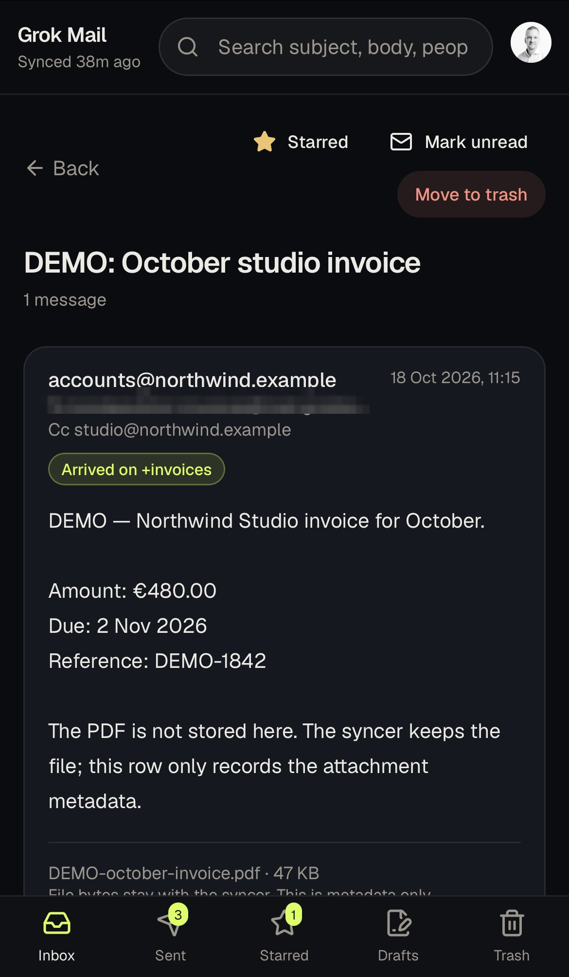 Grok Mail mobile message view for a demo invoice — personal address blurred